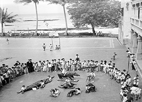 A large group of young boys and 3 Christian Brothers stand in a semi-circle around 9 boys sitting on or next to stuffed wild animals such as a crocodile and a tortoise on the outside plaza of the school. 